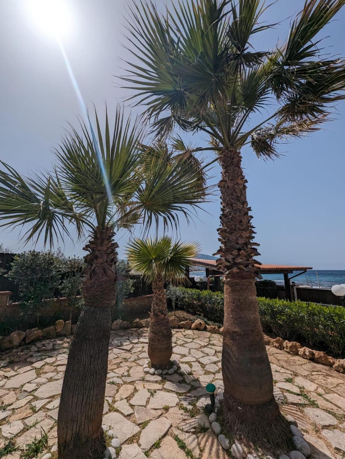 Villa Baia Di Cornino Custonaci Buitenkant foto